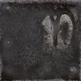 孔雀 赤土K