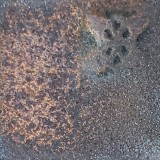 黒土A 金彩黒土A