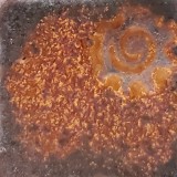 白土J 金彩白御影