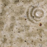 黄瀬戸 黄瀬戸75 還元