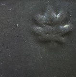 黒土B 黒マット還元