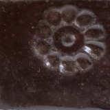 黒墨 黒土D