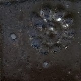 孔雀 黒土D