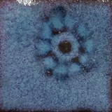 緑斑 黒土D