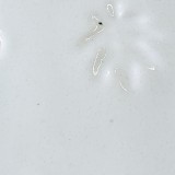 白土E 乳白還元