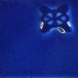 ルリ ルリ 還元