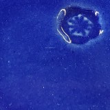 白土D ルリ還元