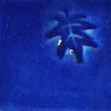 白土E ルリ還元