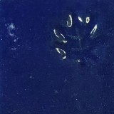 黒土B ルリ還元