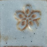 赤土H 志野還元