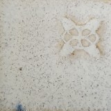 白萩 白土F還元
