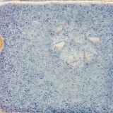 鈞窯 白土E