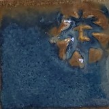 なまこ 白土E