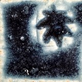 紺伊羅保 白土E