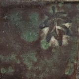孔雀 白土E