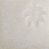 白萩  白土E還元