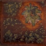 そば 白土E