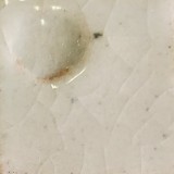 透明 透明