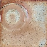 赤土J 深海還元