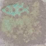 白土C 深海還元
