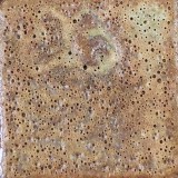 赤土C 深海還元