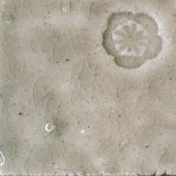 白土D つや消し黄瀬戸還元